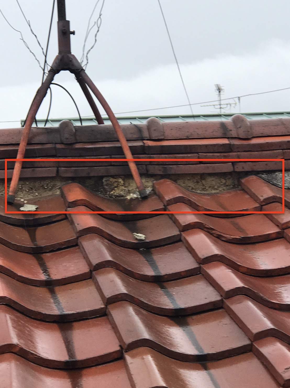 メンドしっくい剥がれ