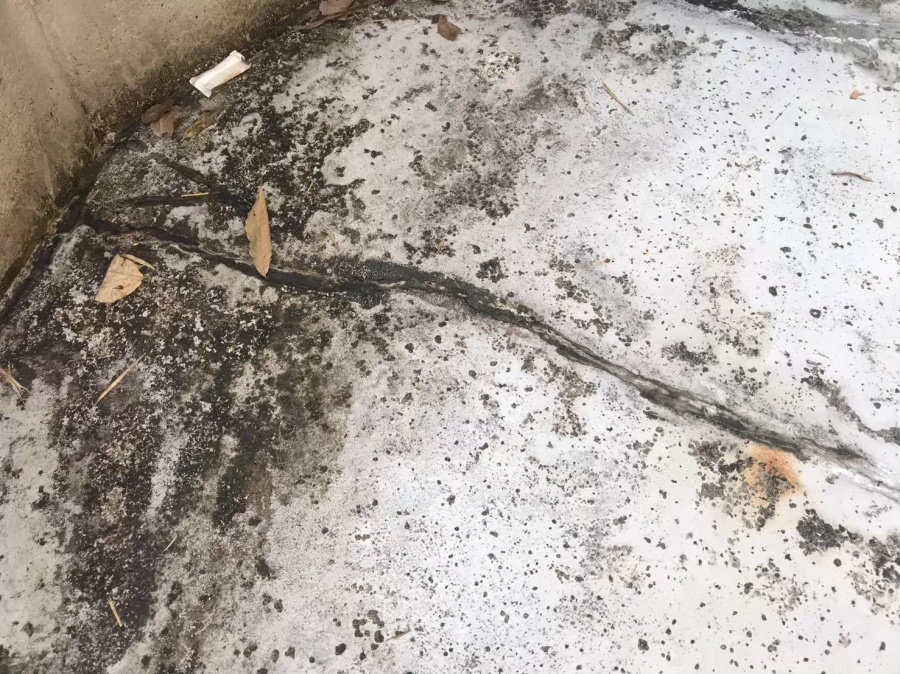 ベランダのカビ