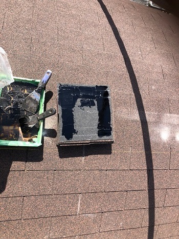 シングルセメント