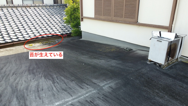 屋根に苔が生えている