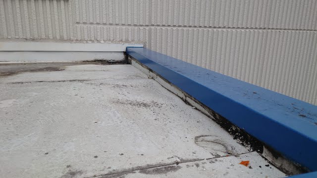 エントランス上面