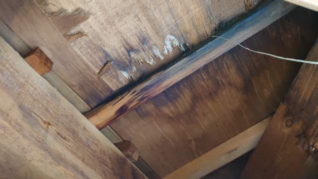 屋根裏の雨漏りの状況