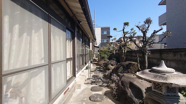 全体の数量も測ります