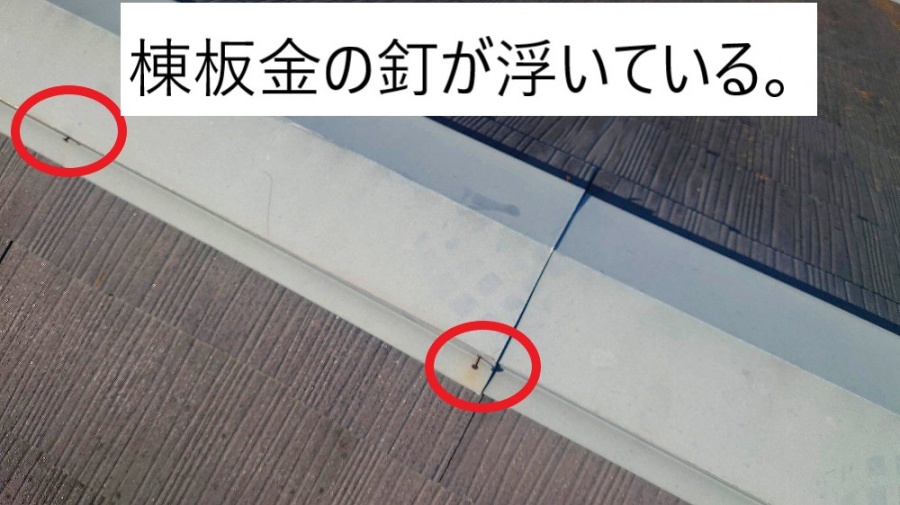 棟板金の釘が浮いている。