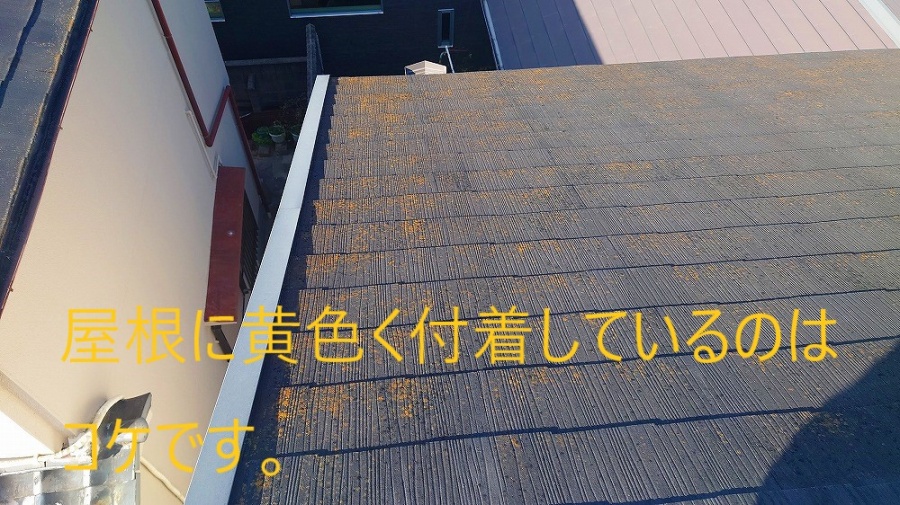 スレート屋根にコケ