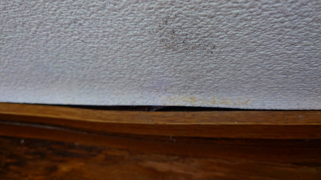 洗濯機防水パン