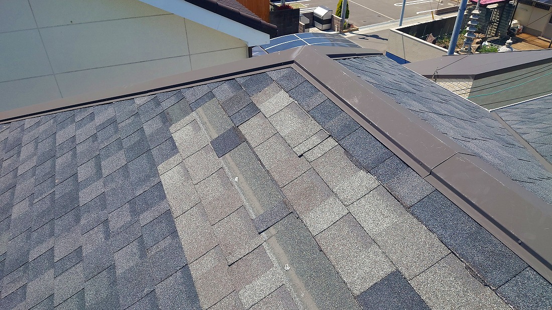 リッジウエイ飛散点検