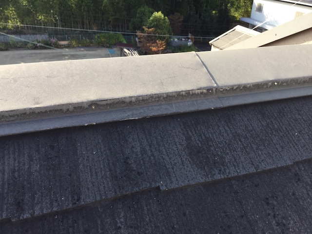 棟板金の釘の浮きと、屋根材全体の劣化状況を最終確認している様子。