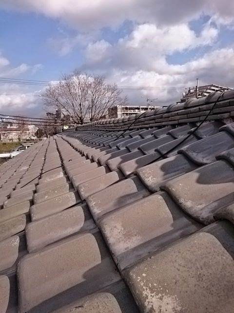 日本瓦の屋根全体の点検風景。棟（むね）と瓦のズレがないか確認中の様子