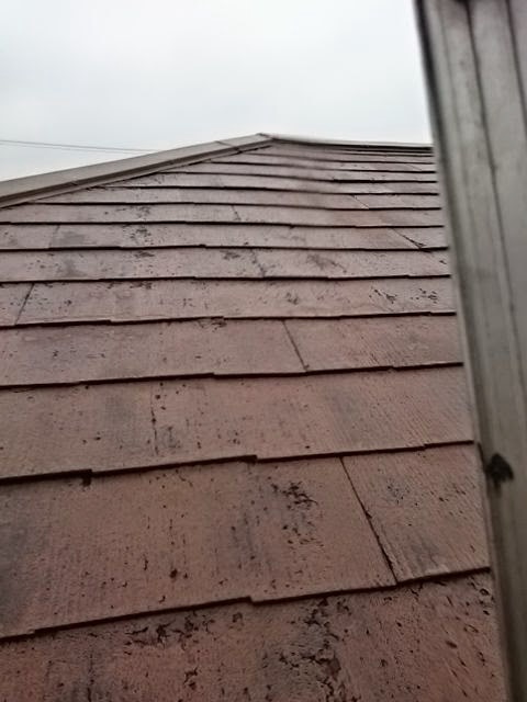 スレート屋根の劣化状況：防水切れによりコケが発生し、白く変色している様子