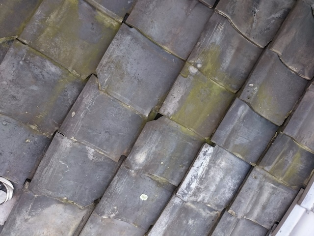 コケが発生しひび割れた日本瓦の屋根全景・八幡市の現地調査