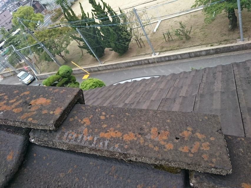 モニエル瓦の表面拡大写真。防水機能の低下により黄色いコケが繁殖し、スラリー層が剥離・劣化している様子