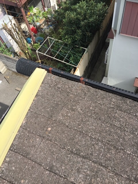 屋根の端部（ケラバ）付近まで進行した苔と基材の剥離