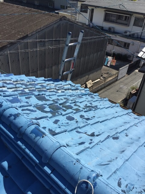 城陽市久世の屋根点検。瓦に塗られた青いペンキが剥がれ、雨漏りの不安がある状態