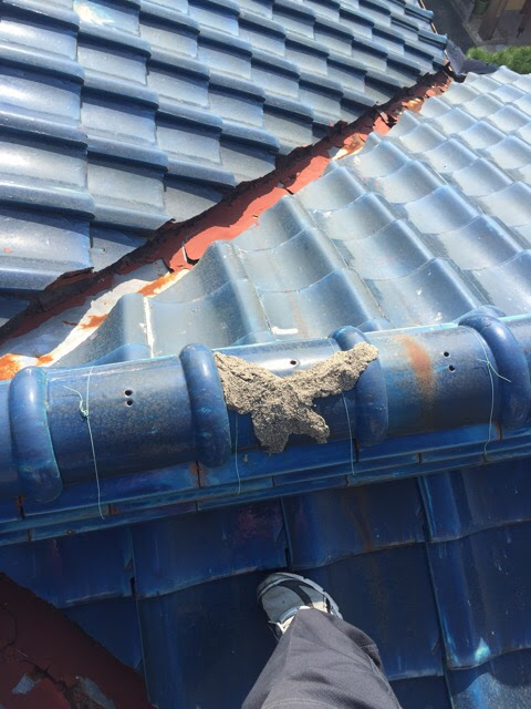 * 屋根のてっぺんの丸い瓦にセメントが盛り付けられ、奥にある赤い溝（谷板金）がサビている状態。 本来ここは「漆喰（しっくい）」という白い材料で綺麗に仕上げる場所なのですが、グレーのコンクリートのようなものが、べっとりと盛り上がるように塗りつけられていました。これも、とりあえず雨を防ごうとしただけの応急処置と言わざるを得ません。