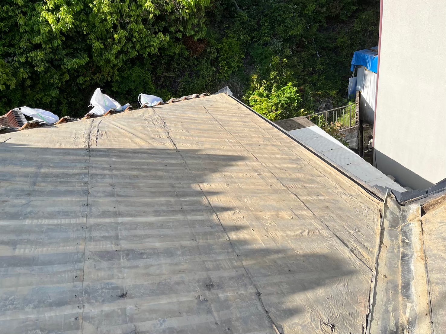 土の撤去、清掃