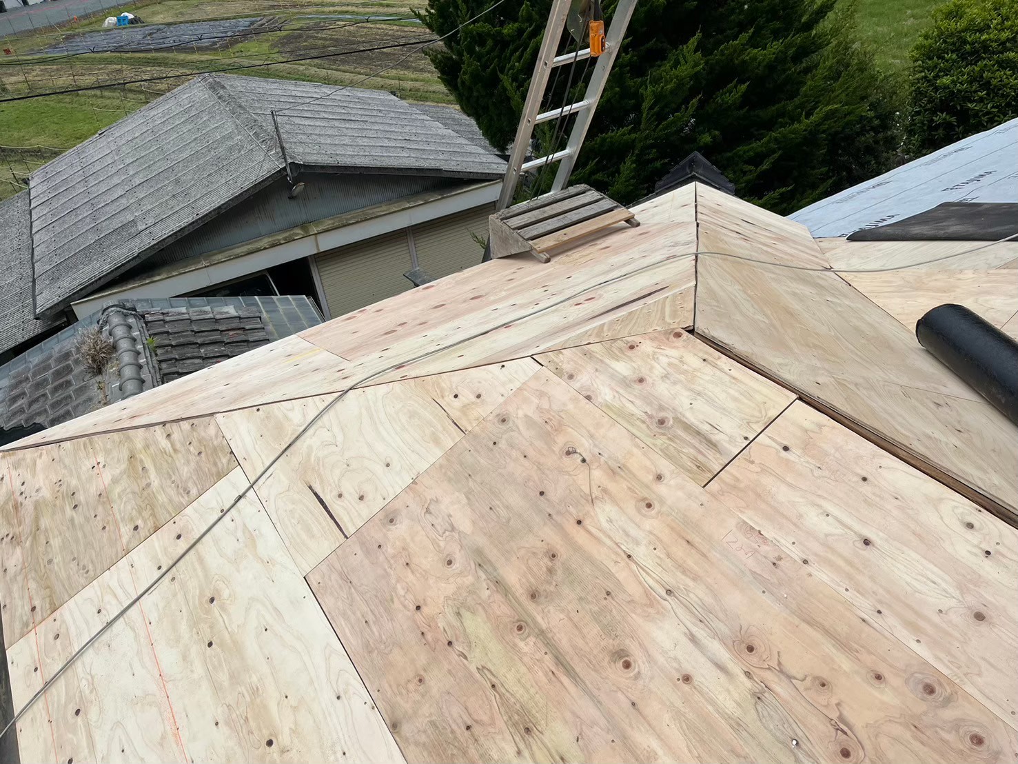 下地構造用合板