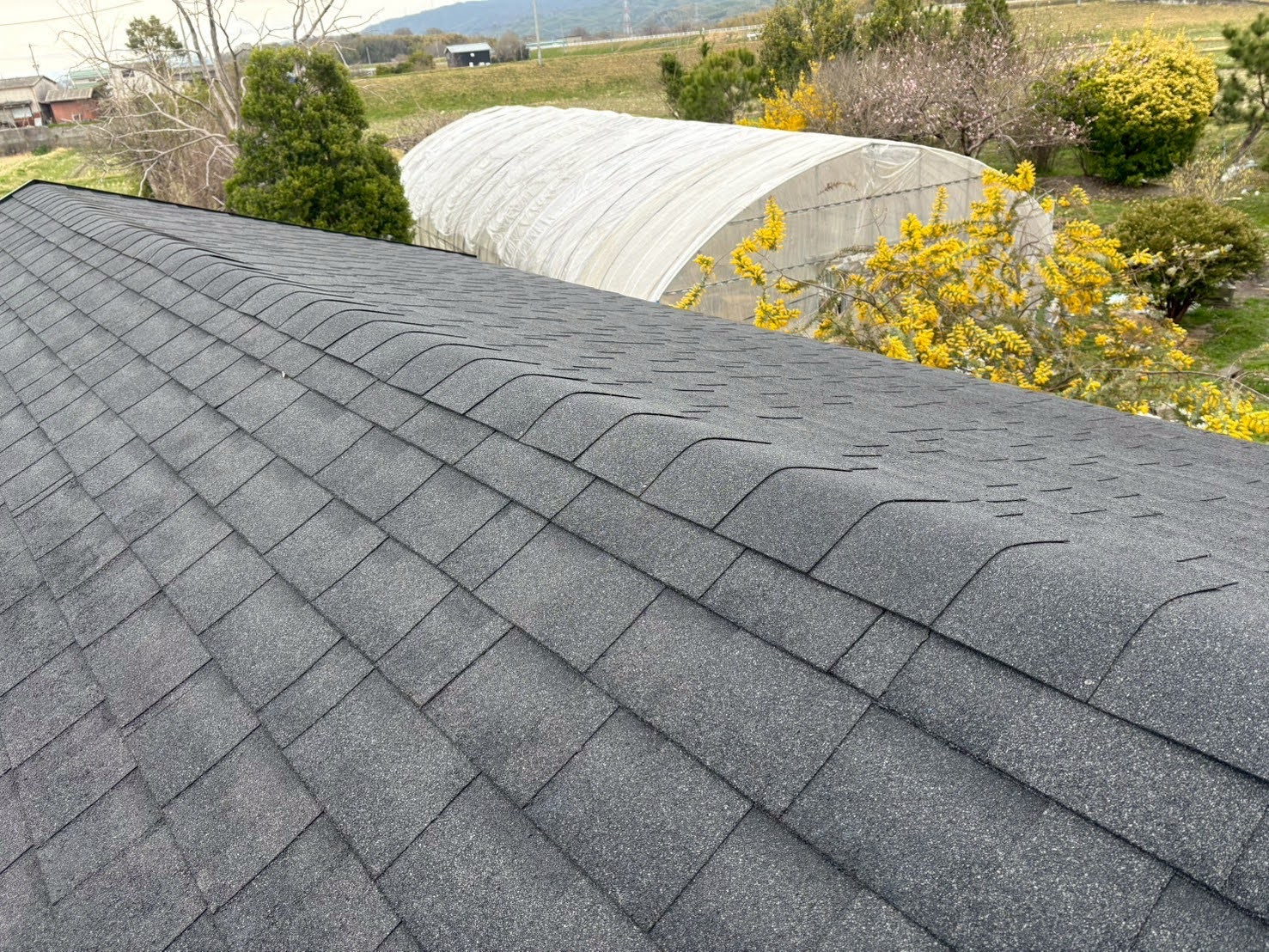シングル葺きの工事完了