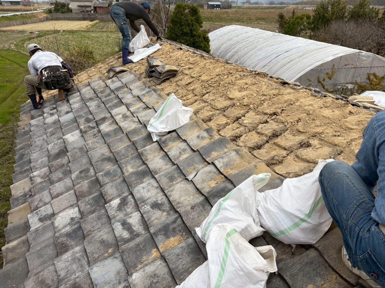 納屋の瓦を撤去