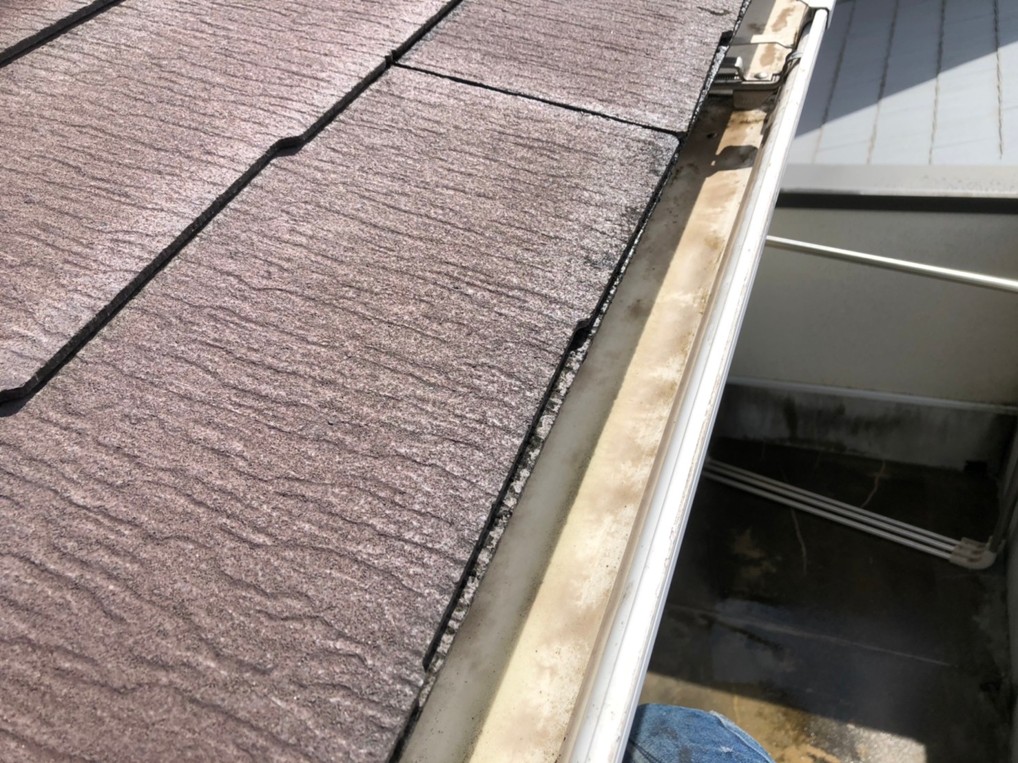 雨樋の集水器つまり