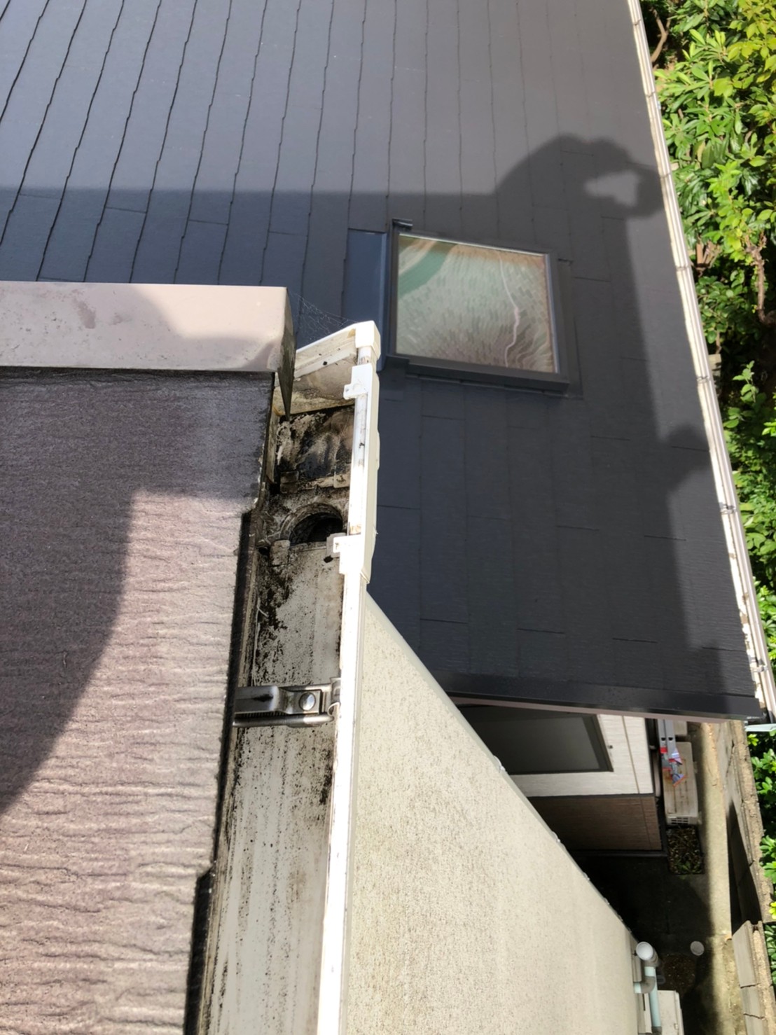 雨樋の集水器つまり