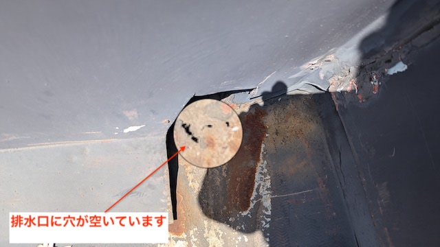 屋根の排水口に穴が空いている