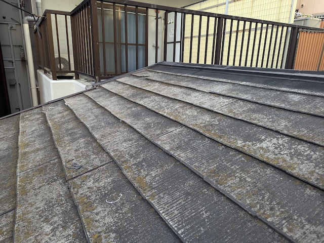 カラーベストの状態確認を実施