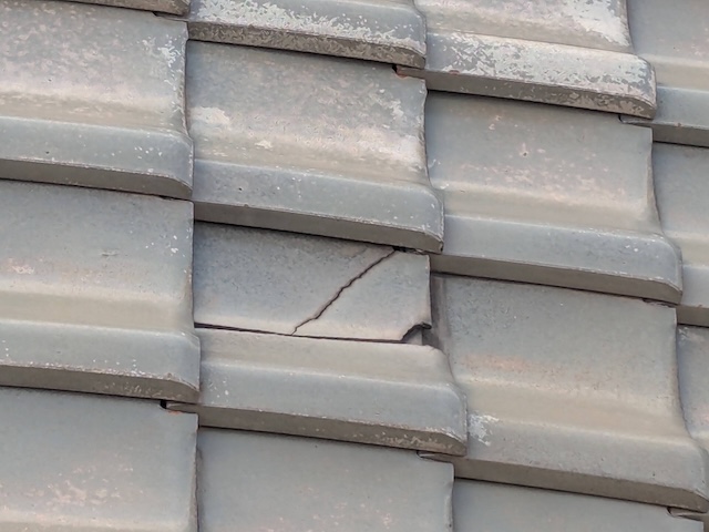 瓦の破損部を発見