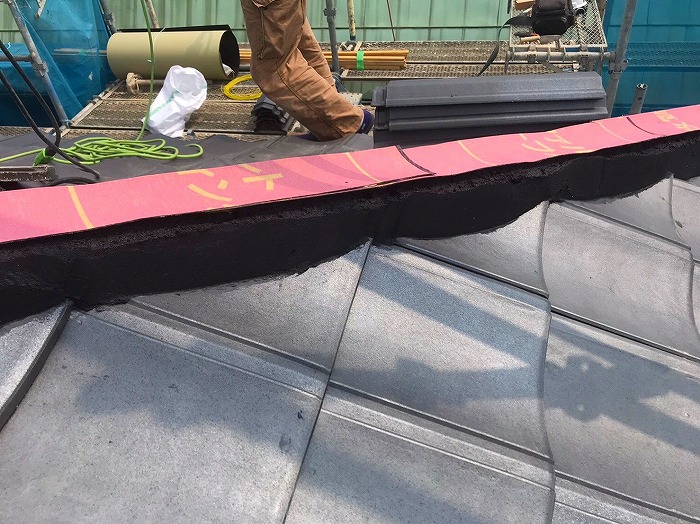 ケイミュー隅棟