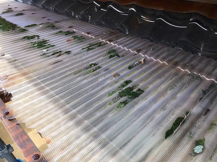 足場を組む波板箇所