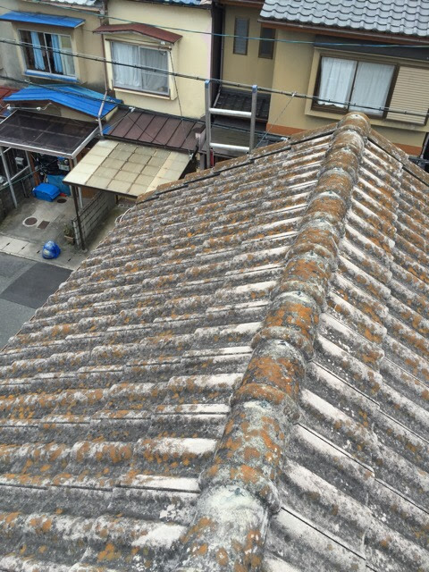 塗膜が消失し水分を吸い込んでコケが繁殖したセメント瓦の拡大写真