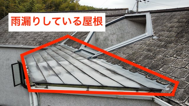 雨漏りしている横葺きの金属瓦