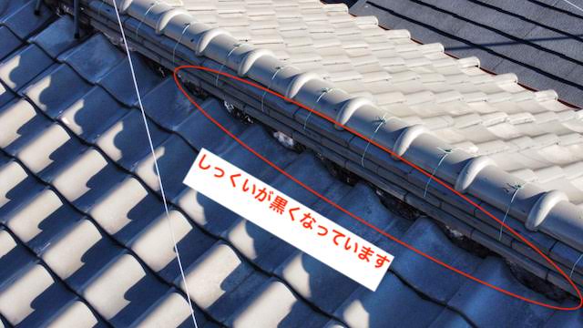 棟の状態の確認