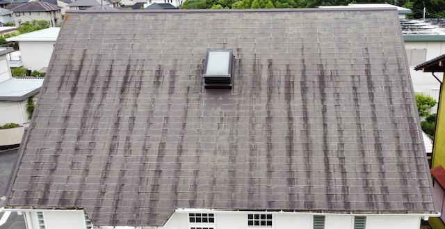 天窓が１箇所ありました