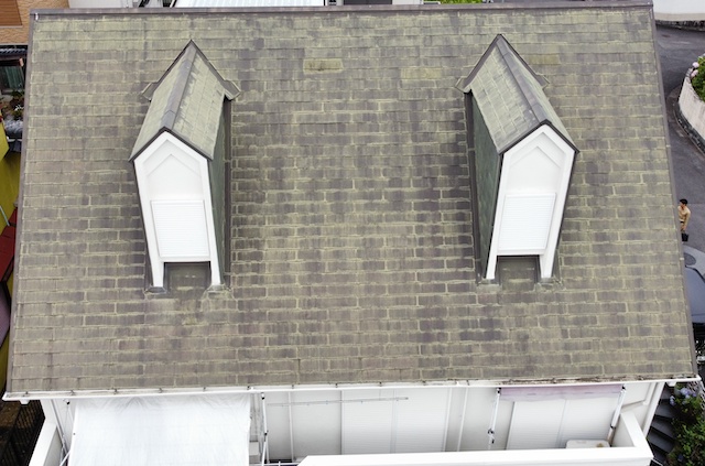 ドーマーが２箇所