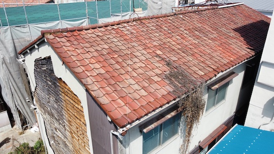 屋根には蔦が絡まっている