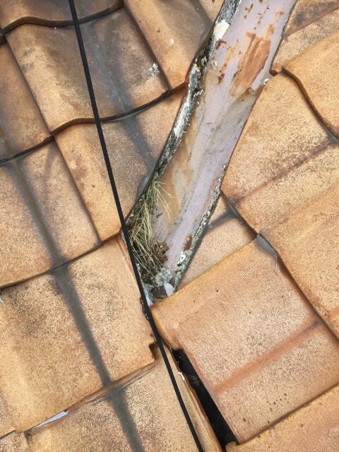 谷板金の草詰まり