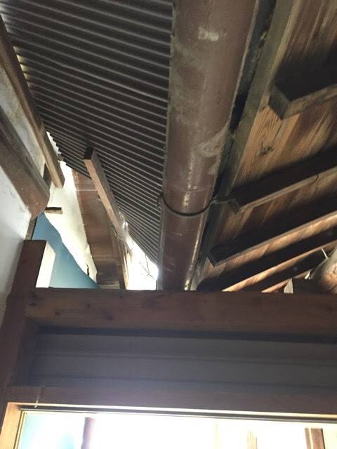 屋根の下側（軒下）から雨樋と波板屋根裏を点検している様子