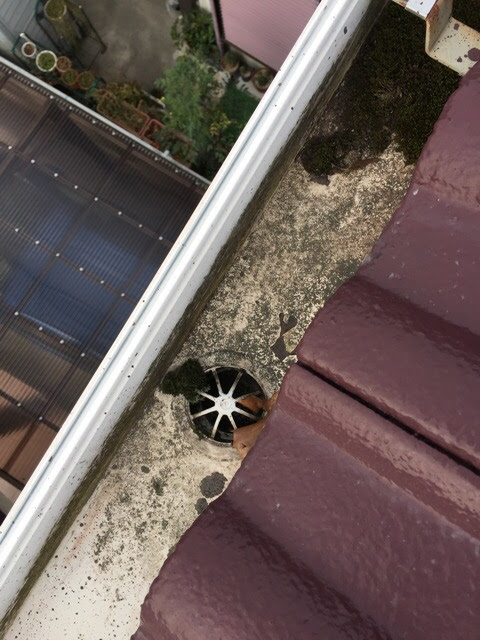 京田辺市の雨樋調査。排水口（ドレン）に泥や落ち葉、コケが詰まっている状態