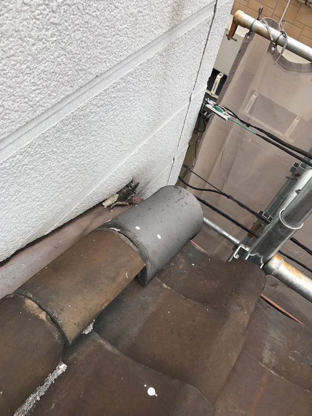壁際にたまった枯れ葉
