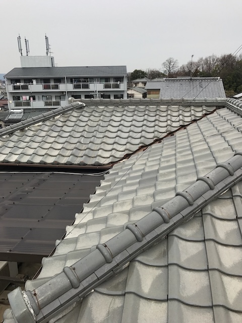 棟瓦と瓦屋根の全景