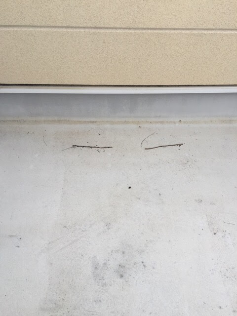 京都府八幡市のベランダ現地調査。トップコート（表面保護塗料）が摩耗し、黒ずみが発生している床面の様子。