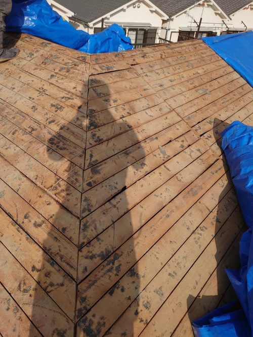 養生している様子