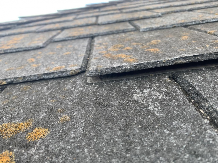 反り上がったカラーベストの様子