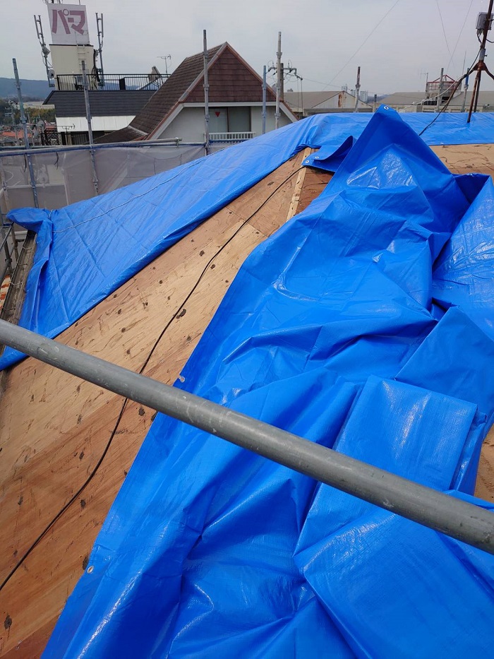 屋根をブルーシートで養生している様子