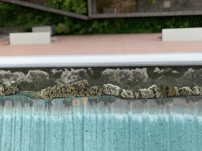 苔が繁殖しているスレート屋根の様子