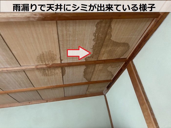 雨漏りで天井にシミが出来ている様子
