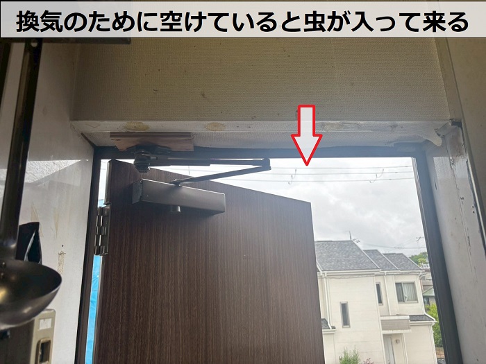 勝手口が空いている様子