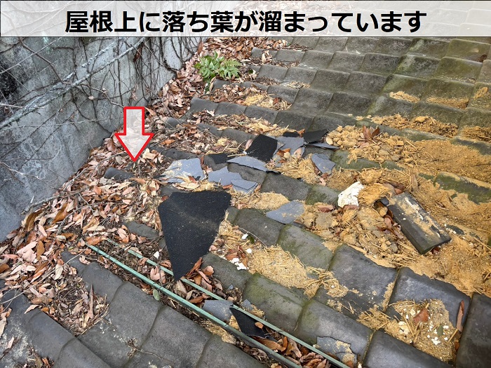 屋根上に落ち葉が溜まっている様子