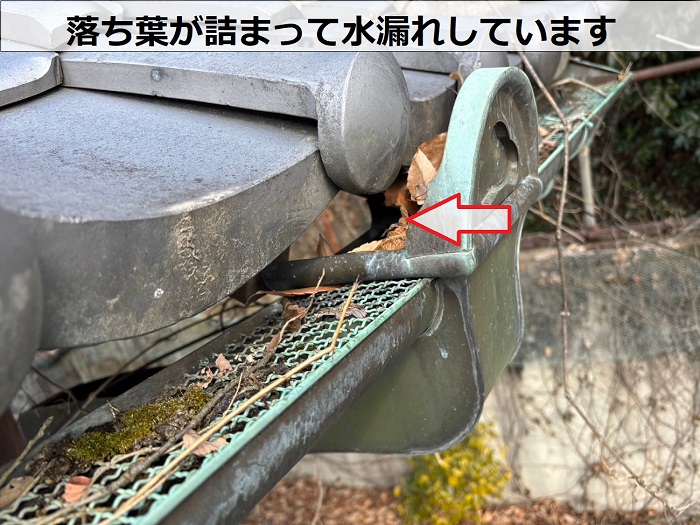 雨樋に落ち葉が詰まっている様子
